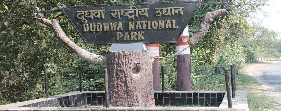 dudhwa tour from delhi