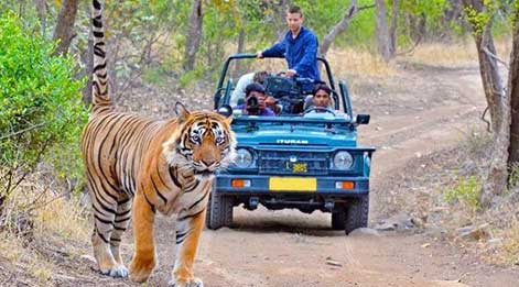 jeep safari dudhwa