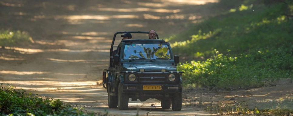 dudhwa katarniaghat safari